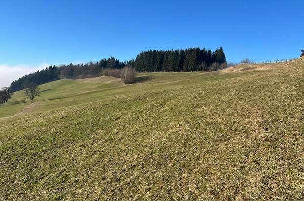 Gewerbeobjekt kaufen in 3353 Seitenstetten Dorf