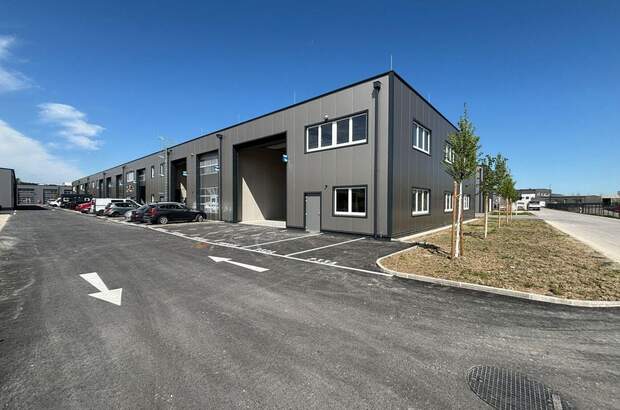 Gewerbeobjekt mieten in 4490 St. Florian (Bild 1)