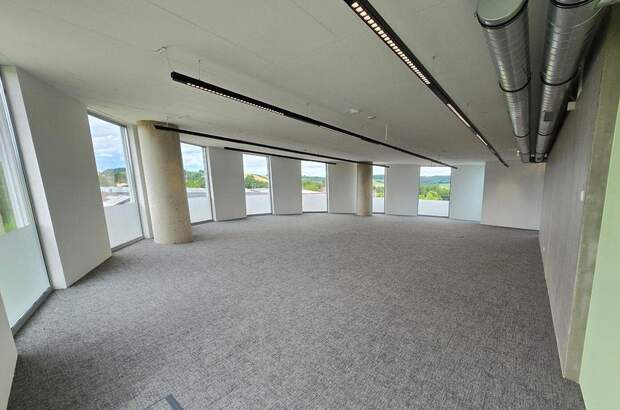 Gewerbeobjekt mieten in 4715 Taufkirchen (Bild 3)