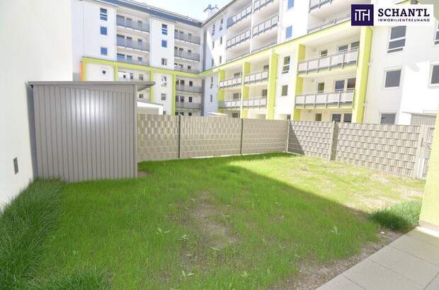 Terrassenwohnung mieten in 2320 Schwechat (Bild 1)