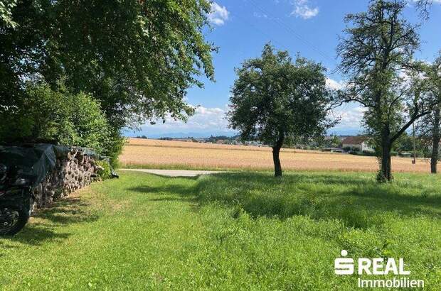 Grundstück kaufen in 4611 Buchkirchen (Bild 5)