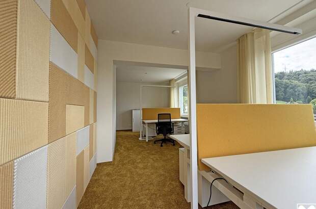 Gewerbeobjekt mieten in 6858 Schwarzach (Bild 3)
