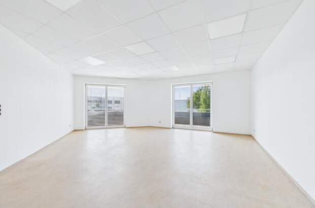 Büro / Praxis mieten in 4221 Steyregg (Bild 3)