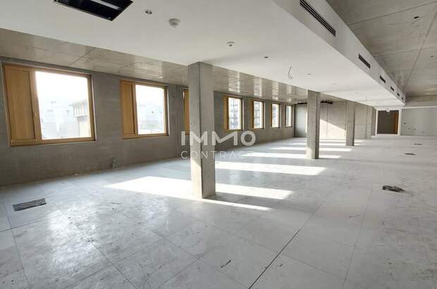 Gewerbeobjekt mieten in 1230 Wien