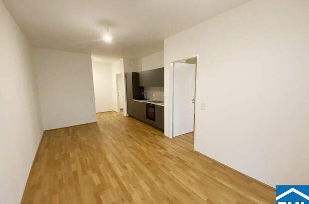 Terrassenwohnung mieten in 1110 Wien (Bild 3)