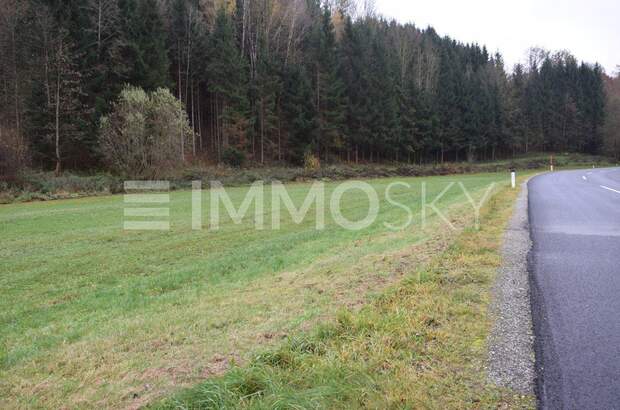 Grundstück kaufen in 4201 Gramastetten (Bild 2)