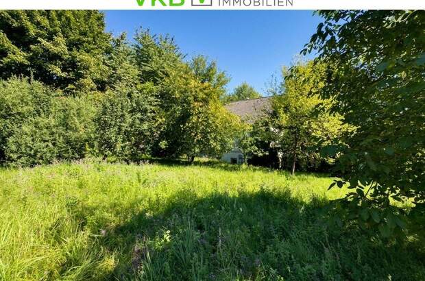 Haus mit Garten kaufen in 4863 Seewalchen (Bild 2)
