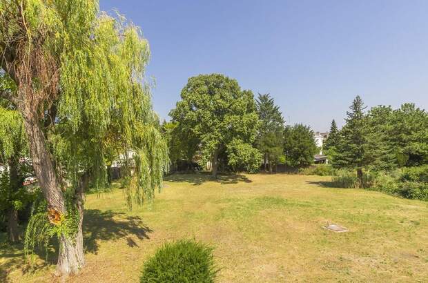 Haus mit Garten kaufen in 2380 Perchtoldsdorf (Bild 5)