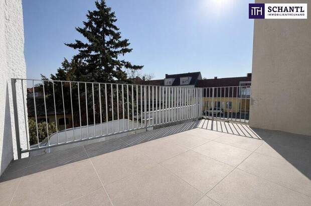 Terrassenwohnung kaufen in 2514 Traiskirchen (Bild 2)