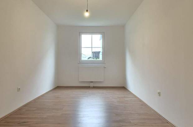 Gewerbeobjekt kaufen in 2483 Weigelsdorf (Bild 4)