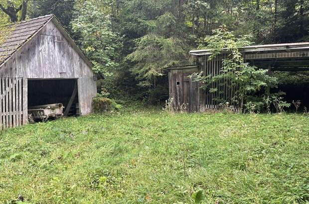 Gewerbeobjekt kaufen in 9135 Ebriach (Bild 5)