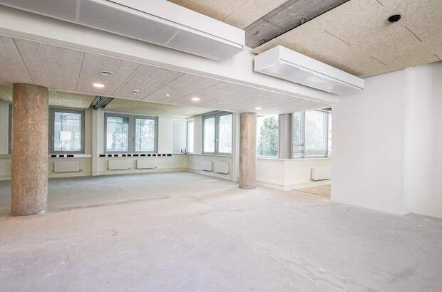 Gewerbeobjekt mieten in 1020 Wien (Bild 5)