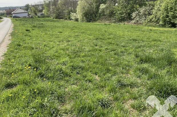 Grundstück kaufen in 8504 Preding (Bild 4)