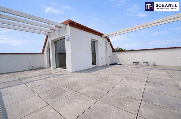 Terrassenwohnung kaufen in 2514 Traiskirchen (Bild 2)