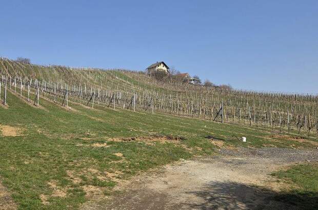 Chalet kaufen in 8493 Klöch (Bild 3)