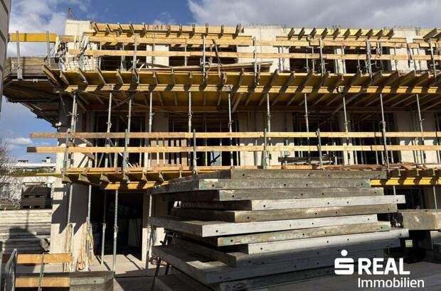 Terrassenwohnung kaufen in 6060 Hall (Bild 1)