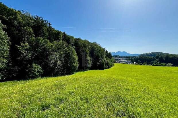 Grundstück kaufen in 5020 Salzburg (Bild 3)