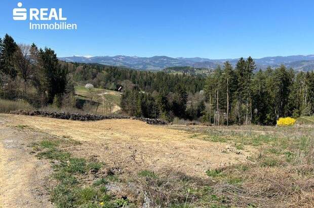 Grundstück kaufen in 8570 Voitsberg (Bild 2)
