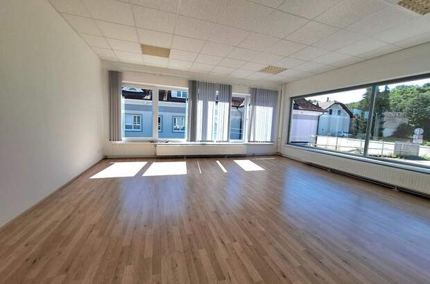 Gewerbeobjekt mieten in 3100 St. Pölten (Bild 4)