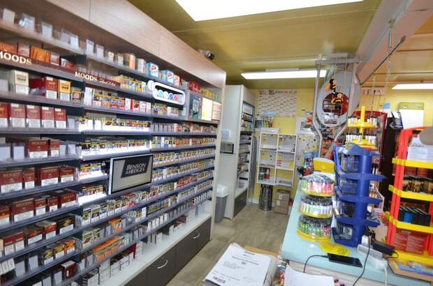 Gewerbeobjekt kaufen in 2560 Berndorf (Bild 5)