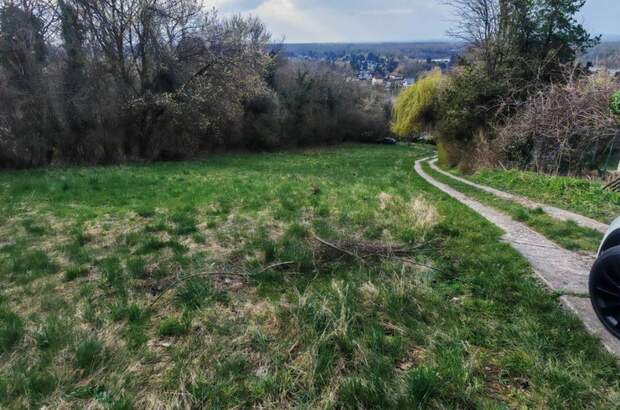 Gewerbeobjekt kaufen in 3422 Altenberg
