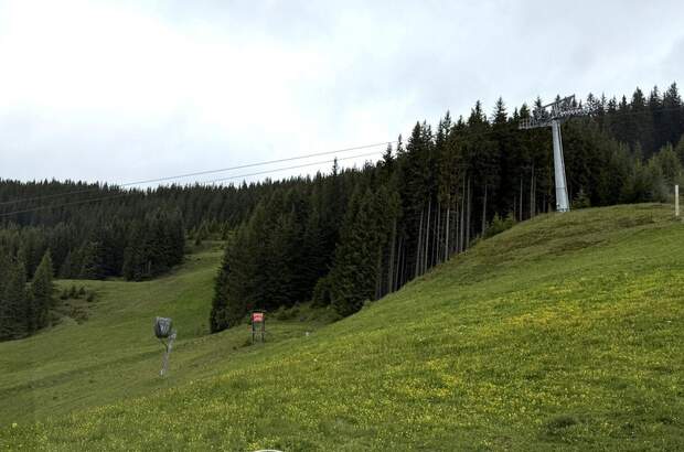 Gewerbeobjekt kaufen in 5753 Saalbach (Bild 4)