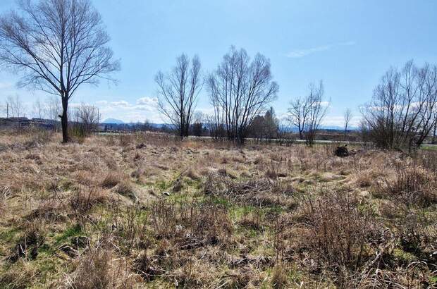 Grundstück kaufen in 4850 Timelkam (Bild 1)