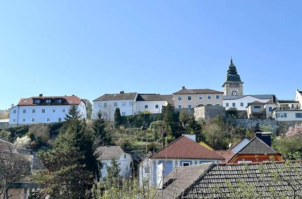 Haus kaufen in 4470 Enns (Bild 2)