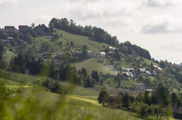 Haus kaufen in 8551 Wies (Bild 4)