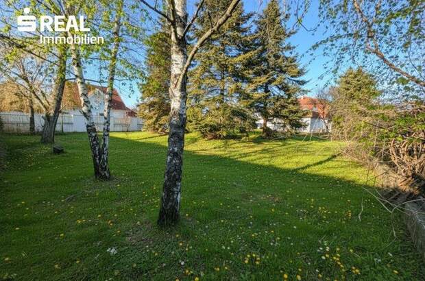 Grundstück kaufen in 7201 Neudörfl (Bild 4)