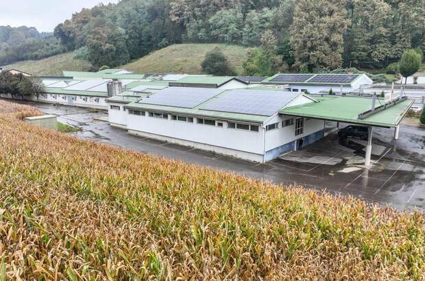 Gewerbeobjekt mieten in 8353 Kapfenstein (Bild 2)