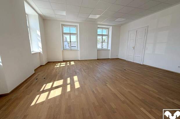 Gewerbeobjekt mieten in 4810 Gmunden (Bild 4)