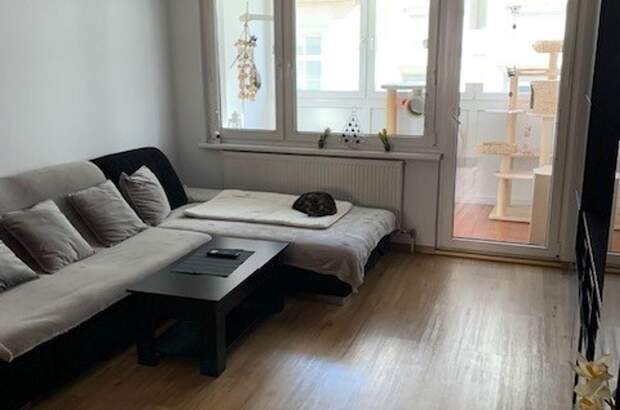 Wohnung kaufen in 1030 Wien (Bild 2)