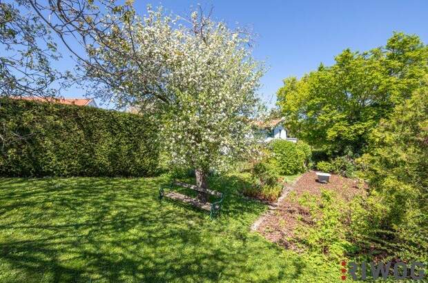 Einfamilienhaus kaufen in 2372 Gießhübl (Bild 5)