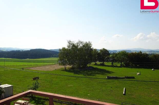 Mietwohnung in 4261 Rainbach (Bild 2)