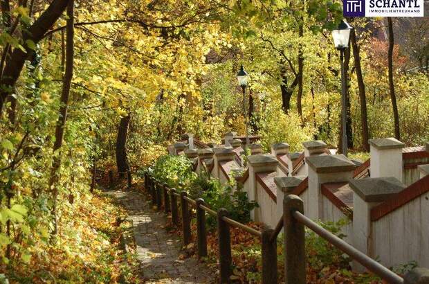Terrassenwohnung kaufen in 2130 Mistelbach (Bild 4)