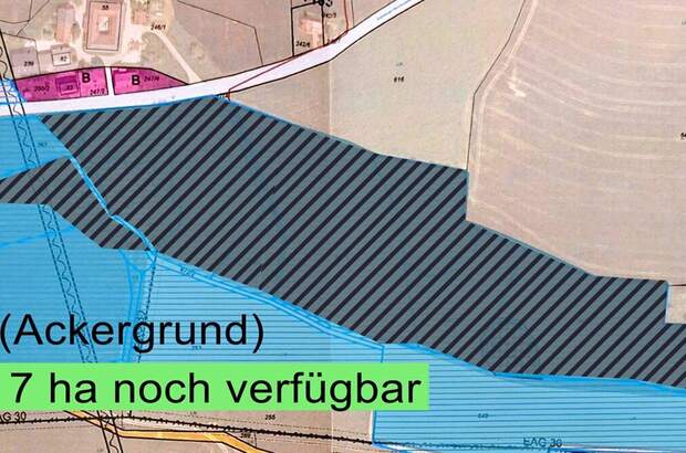 Gewerbeobjekt kaufen in 4643 Pratsdorf (Bild 3)
