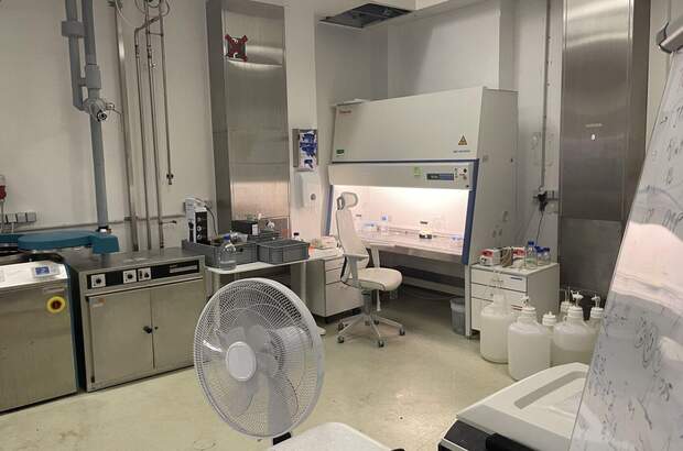 Gewerbeobjekt mieten in 1210 Wien (Bild 4)