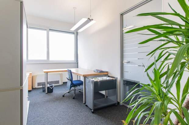 Gewerbeobjekt mieten in 4020 Linz (Bild 4)