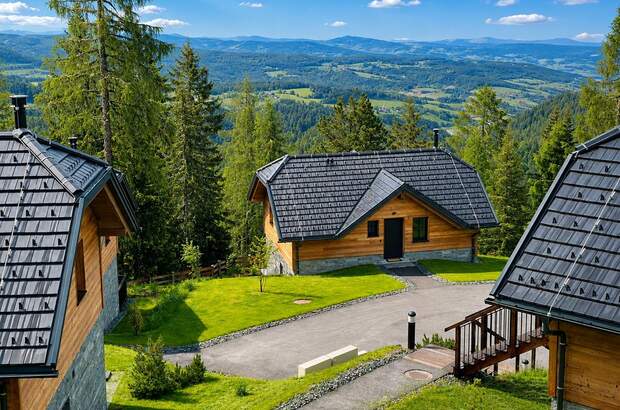 Chalet kaufen in 9571 Hochrindl (Bild 3)