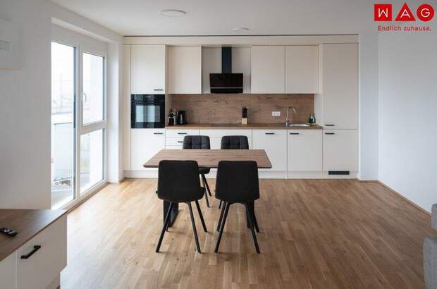 Terrassenwohnung mieten in 4060 Leonding (Bild 1)