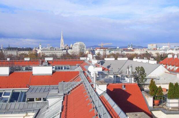 Terrassenwohnung mieten in 1030 Wien (Bild 1)