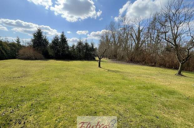 Grundstück kaufen in 4614 Marchtrenk (Bild 3)