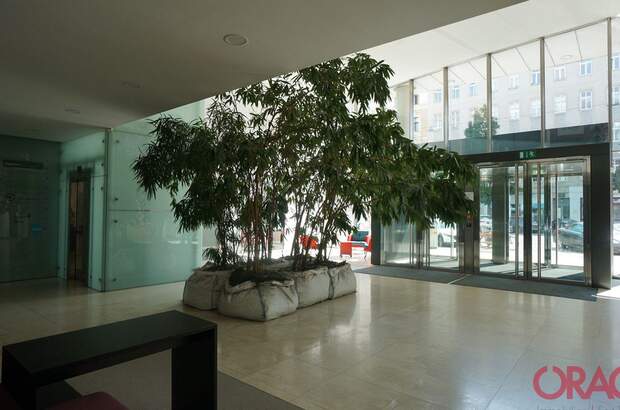 Gewerbeobjekt mieten in 1050 Wien (Bild 3)