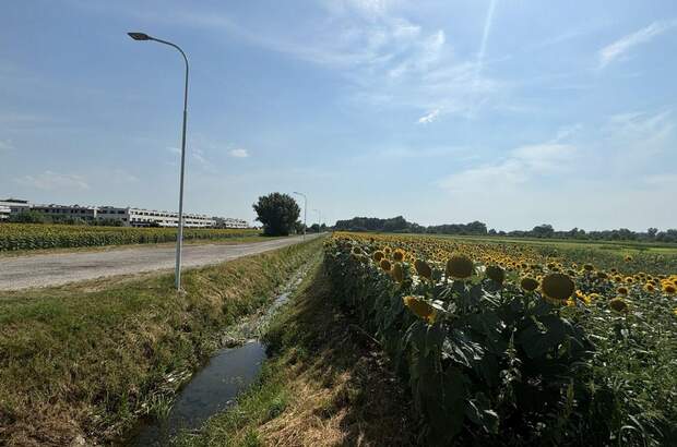 Grundstück kaufen in 7100 Neusiedl