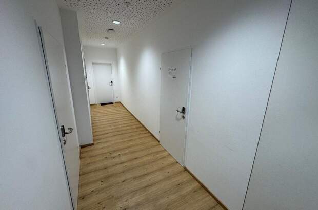 Gewerbeobjekt mieten in 4284 Tragwein (Bild 4)