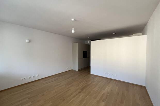 Wohnung mieten in 1010 Wien (Bild 2)