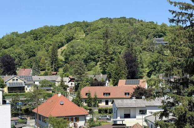 Wohnung mieten in 3400 Klosterneuburg (Bild 3)