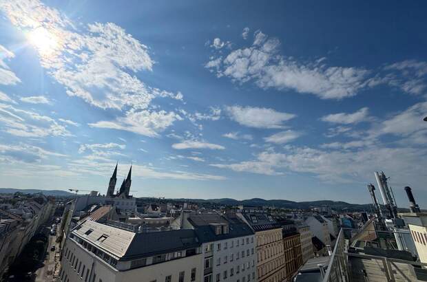 Altbauwohnung mieten in 1090 Wien (Bild 4)