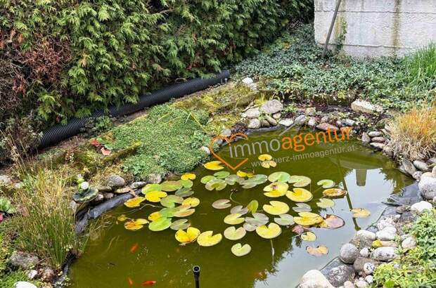 Haus mit Garten kaufen in 4061 Pasching (Bild 5)